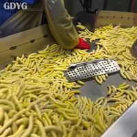 Haricots jaunes dorés frais de qualité supérieure / Qualité export / Origine Chine / Vente en gros / IQF surgelés / À vendre
