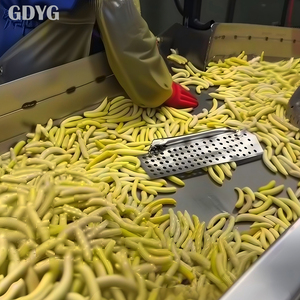 Haricots jaunes dorés frais de qualité supérieure / Qualité export / Origine Chine / Vente en gros / IQF surgelés / À vendre - Product Image 3