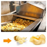Volautomatische Fabriek Industriële Commerciële Gefrituurde Chips Maken Machine Bevroren Frietjes Productielijn
