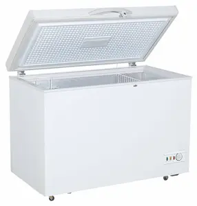 胸部冰柜150升200升250升350升水平单温家用深度冰柜