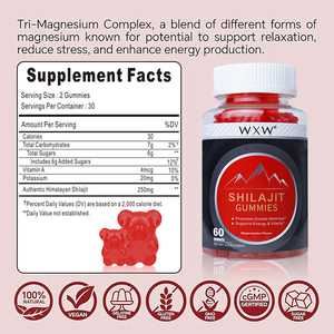 Custom Best Natural Herbal Shialjit Gummies Authentic Himalayan Shialjit Extract Gummies General Health Support - Product Image 6