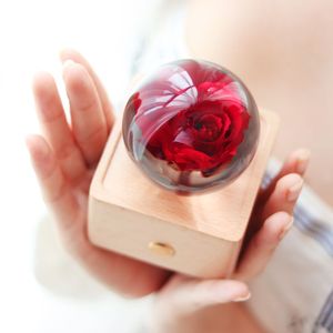 Produits viraux 2025 affaires en ligne produit vente véritable fleur éternelle Rose pissenlit spécimen résine veilleuse - Product Image 2