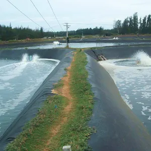 80 mil Forros Da Lagoa de Plástico Rolo de Filme Agricultura Grande Preto Folhas de PEAD preto poli forro da lagoa geomembrana