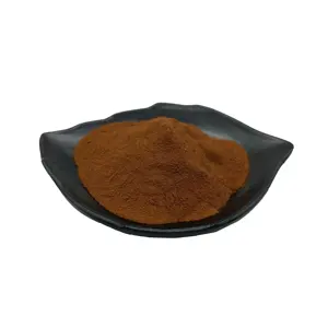 Factory supply Wholesale price Natura cocoa extract 10:1 cocoa powder