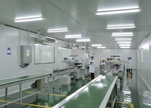 <span class=keywords><strong>2025</strong></span> nóng bán cao cấp lớp tỏa sáng da hạt bí ngô hạt - Product Image 5