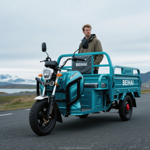 Forte capacità di carico dell'azienda agricola a tre ruote Cargo elettrico diretto in fabbrica - Product Image 1