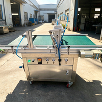 Machine à semer automatique professionnelle pour serres, pépinières, légumes et fleurs