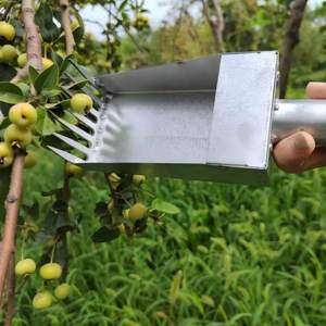 Outil de récolte de fruits galvanisé à bord lisse pour la cueillette des arbustes épineux et des baies - Product Image 2