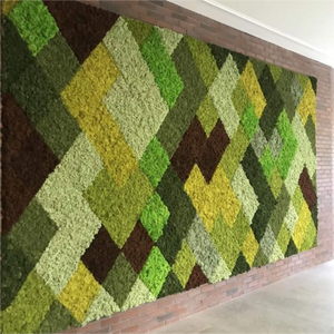 Commercio all'ingrosso di colore verde conserve di fresco <span class=keywords><strong>muschio</strong></span> naturale per le decorazioni murali <span class=keywords><strong>muschio</strong></span> <span class=keywords><strong>artificiale</strong></span> della parete - Product Image 6
