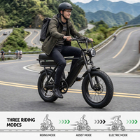 Vélo Électrique Y20 Pro 48V 15AH et 20AH en Gros, Moteur Électrique 250W, Vélo Tout-Terrain à Pneus Larges, Stock UE, Vélo de Route Électrique