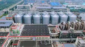 좋은 가격 사료 첨가제 <span class=keywords><strong>L-Threonine</strong></span> 98.5% 최소 백색 결정질 분말 - Product Image 6