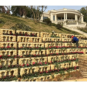 Futian Thickened Plastic Slope Protection Mold, Durable <strong>Concrete</strong> Embankment <strong>Block</strong> Mould for Water Conservancy - Product Image 1