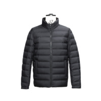 Veste matelassée en duvet d'oie blanc pour homme, vente en gros OEM, haute densité, coupe-vent, chaude, pour usage quotidien et sports de plein air