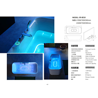 Baignoire Spa Moderne en Acrylique avec Système de Température Constante, Design Écologique, Cascade de Bulles d'Air et Massage pour Salle de Bain de Villa