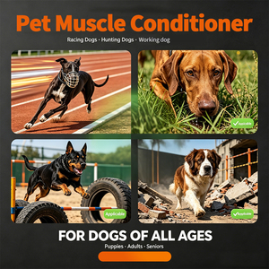 Fórmula OEM para el Desarrollo Muscular Canino, Suplemento de BCAA, L-Carnitina y Condroitina para <span class=keywords><strong>Perros</strong></span> de Trabajo, Policía y Caza - Product Image 3