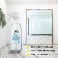 Nettoyant pour vitres et miroirs, liquide pour surfaces en verre, produit de nettoyage fabriqué en Belgique, OEM, spray nettoyant