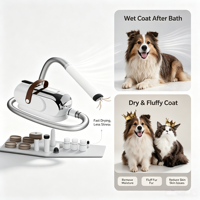 Aspirateur à poils d'animaux silencieux, machine à aspirer électrique pour le toilettage des chiens et des chats, kit de toilettage multifonction pour animaux de compagnie, utilisation domestique