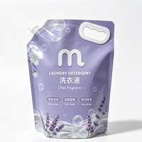 Pochette d'emballage imprimée en couleur 3L en PET/PE, sac de stockage de liquides recyclable avec bec verseur et poignée pour détergent lessive liquide