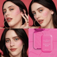 Série de maquillage personnalisée en gros pour marque propre : Fond de teint liquide, Stick pour les joues, Poudre végane unilatérale, Fards à joues