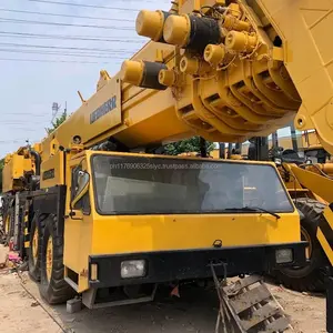 Litthing — grue télescopique Liebherr ap02 LTM3000, 300 tonnes, idéale pour médical