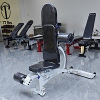 Banc de musculation réglable durable TT FLEX pour la musculation en salle de sport-Couleur et logo personnalisés portables pliants fabriqués en Chine