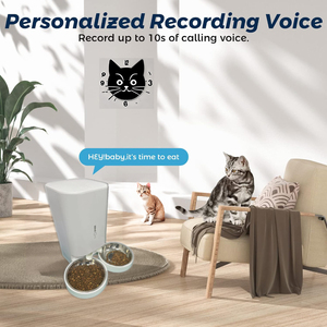 Smart Automatic <span class=keywords><strong>Pet</strong></span> Feeder Dispenser 4L Kapazität WiFi Lebensmittel lagerung Cat Dog Bowl Rutsch feste 4L Cat Bowl Wasser anwendung Kostenlos - Product Image 5