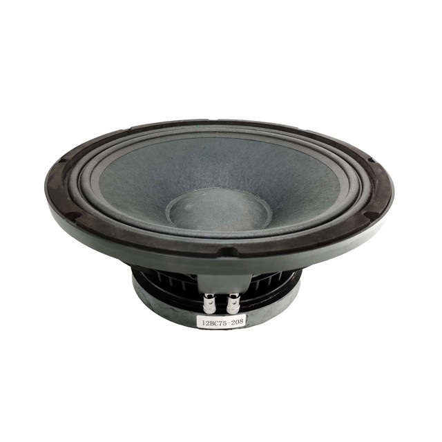 Best-selling Outdoor 12-inch Professional Sound Speaker, Suitable for Stage, Hall and Other Scene Sound.
