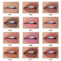 Fabricants de rouge à lèvres liquide mat en gros marque privée imperméable longue durée rouge à lèvres liquide mat cosmétique