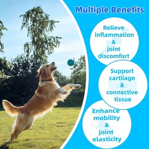 Comprimés à mâcher pour chiens avec MSM, de haute qualité, pour protéger le cartilage et les tissus conjonctifs, soins de santé et suppléments pour animaux de compagnie - Product Image 2