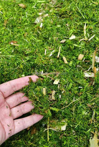 High Efficiency <strong>Agricultural</strong> Farm <strong>Animal</strong> Breeding <strong>Feed</strong> Wheat Straw Silage <strong>Chopper</strong> - Product Image 5