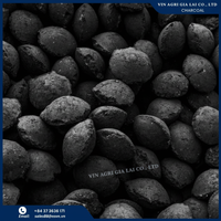 Briquettes de bois dur de qualité supérieure pour barbecue, allumage rapide, combustion longue durée (3h+), sans poussière ni suie, charbon noir 5-6cm, 7% de cendres