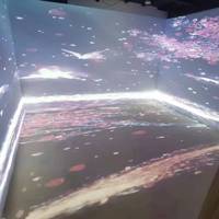 Promotion : Projecteur Holographique 3D Interactif pour Murs/Sols, Effet Zoo Animalier Immersif 5D, Idéal pour Lieux de Mariage et Bars