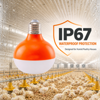Ampoule LED E27 Dimmable IP67 Étanche 48V DC pour Éclairage de Poulaillers, Idéale pour les Fermes de Poulets de Chair, de Poules Pondeuses et d'Éleveuses