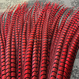 100-110 cm Rouge Lady Amherst Faisan <span class=keywords><strong>Plume</strong></span> Plumes Teints pour Mariage Carnaval Danse Performance Costumes Vêtements Décoration - Product Image 1