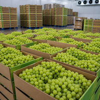 Boîte à fruits en carton ondulé kraft naturel minimaliste, imprimée sur mesure, avec fentes d'aération, emballage recyclable pour produits frais