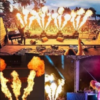 Machine professionnelle audio-vidéo et d'éclairage pour effets de flamme en extérieur et en intérieur, lance-flammes de scène DJ DMX télécommandé