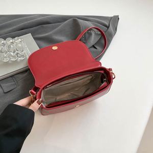 Borsa a Tracolla da Donna Nuovo Design 2025, Borsetta Trendy per Uso Quotidiano, Piccola Borsa con Cerniera per Ragazze - Product Image 3