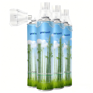 Bouteille d'oxygène portable jetable, légère, pour les urgences, les voyages en plein air, médicale, haute pureté - Product Image 1