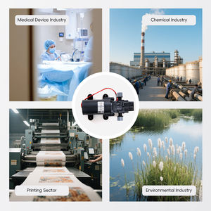 Yw l01 מנוע חוט נחושת עצמי חיזוק לחץ ואוטומטי התחלה להפסיק משאבת דיאפרגמה להשקיה - Product Image 4