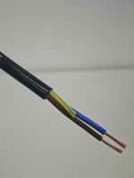 Kabel Daya Peralatan Rumah Tangga 300/500V Fleksibel Berlapis PVC 2 3 5 Inti Kawat Tembaga Terpilin