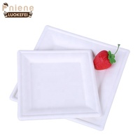 Biodégradable de haute qualité 6 pouces bagasse emballage assiettes jetables fête carré bagasse assiette