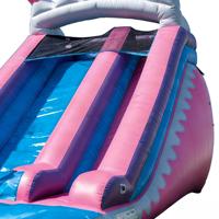 Toboggan aquatique gonflable en PVC sur le thème de la barbe à papa, écologique, pour enfants, usage commercial extérieur, 6 à 12 passagers