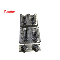Moule de soufflage en plastique PET à deux cavités Asterism, en acier et aluminium, haute précision, durable, pour bouteilles d'eau, moule de soufflage personnalisé
