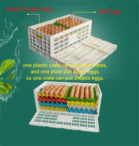egg storage box refrigerator modern chicken grid drawer type egg storage boxs   bins egg storage plastic crate
