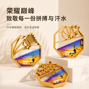 Trophée en cristal imprimé en 3D créatif 16x15cm, récompense personnalisée pour événements sportifs, championnat de basket-ball, football, badminton - Product Image 1