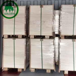 Cartón ecológico FBB C1S color marfil para envasado de alimentos congelados y producción de bandejas de papel - Product Image 4