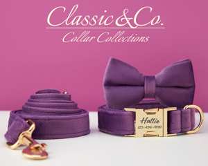 Conjunto de Collar y Correa para Perro de Terciopelo Sólido Personalizado con Nombre Grabado, Campana y Lazo de Terciopelo Morado, Envío Gratis - Product Image 3