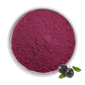 Cung cấp Nhà Máy <span class=keywords><strong>Acai</strong></span> Berry chiết xuất bột hữu cơ <span class=keywords><strong>Acai</strong></span> Bột <span class=keywords><strong>acai</strong></span> berry bột - Product Image 1