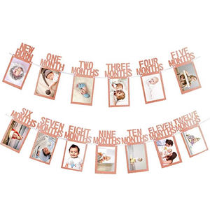 1st cumpleaños foto Banner para recién nacido a 12 meses-hito mensual fotografía Bunting Garland, oro rosa) SD707 - Product Image 1