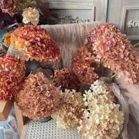 KW-F082 Bunga Hydrangea Kering Tunggal Berwarna, Bunga Hydrangea Vintage Buatan untuk Dekorasi Rumah dan Pernikahan
